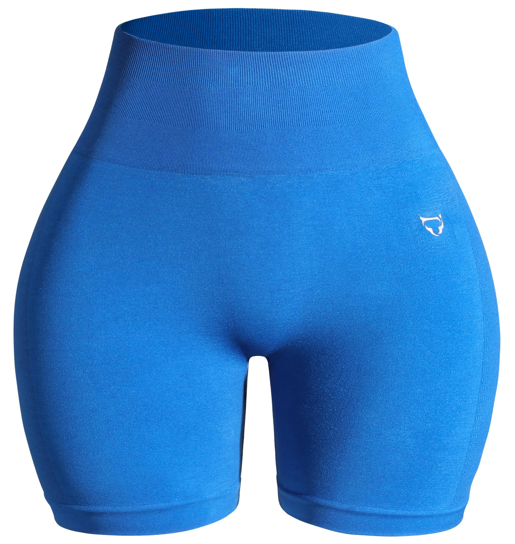 TomTiger Womens Athletic Seamless Shorts High Waisted Squat Proof Tummy Control Exercise Shorts Women (Brilliant BlueXL)